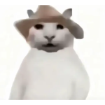 zh2322425530的头像WF论坛WF论坛